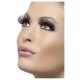 Eyelashes